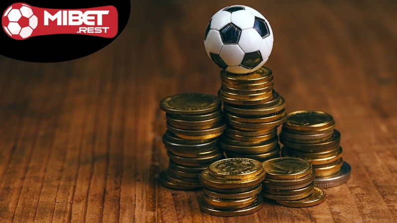 Mibet cá cược bóng đá - Tỷ lệ hấp dẫn, thắng lớn ngay! 1 hieu-ve-mibet-ca-cuoc-bong-da