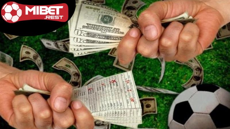 Mibet cá cược bóng đá - Tỷ lệ hấp dẫn, thắng lớn ngay! 2 huong-dan-ca-cuoc-bong-da-tren-mibet