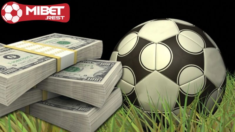 Mibet cá độ bóng đá - Cược dễ dàng, nhận thưởng khủng! 2 loi-ich-khi-tham-gia-mibet-ca-do-bong-da